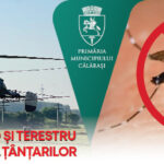 Tratamente avio și terestre pentru combaterea țânțarilor