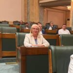 Vot decisiv în Senat pentru securitatea energetică a României: Senatoarea Daniela Mihai susține prelungirea funcționării centralelor pe cărbune