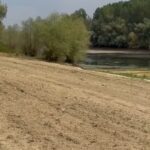 Plaja Tineretului s-a redeschis după 25 de ani prin intervenția Consiliul Județean Călărași