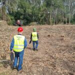 ITM Călărași: Siguranța în muncă, o prioritate pentru cei care lucrează în domeniul forestier