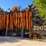 Boo at the Zoo, ediția a 4-a te așteaptă la ZOO Călărași